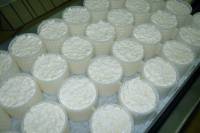 Fabrication du fromage - Egouttage du caillé (début)